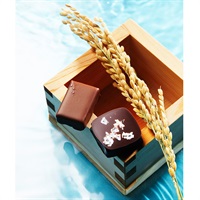 「ショコラティエ パレドオール」獺祭ショコラ【冷蔵】※お届け日のご指定がない場合は準備が出来次第、発送いたします。