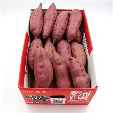 「サカイダフルーツ」五郎島金時【5Kg】