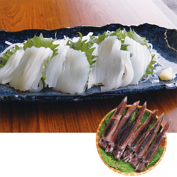 《能登応援》能登小木港直送 船内急速凍結スルメイカ【冷凍】