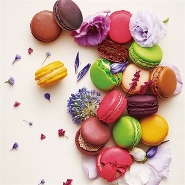 ｢ダロワイヨ｣季節のマカロン入り詰め合わせ(計14個入)