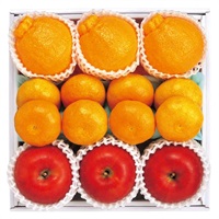 フルーツコンポW