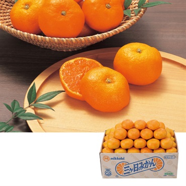 静岡県産 三ケ日みかん