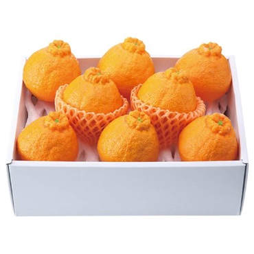 熊本県産 デコポン