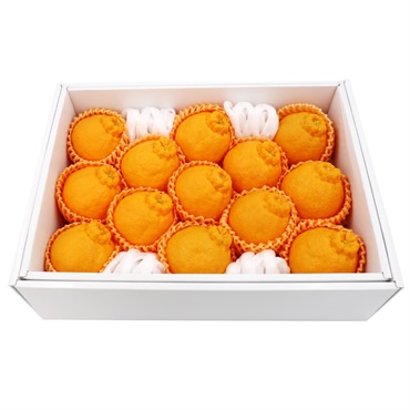 熊本県産 デコポン