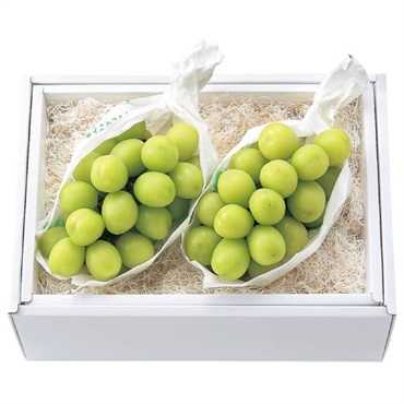 貯蔵シャインマスカット【冷蔵】