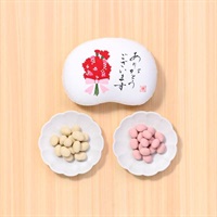 「まめや金澤萬久」かりっとちょこ豆・ホワイト＆いちご（豆箱入り）　絵柄：ありがとうございますカーネーション【おまとめ便対象】