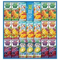 ｢カゴメ｣すこやかサマーバラエティギフト(計20本)
