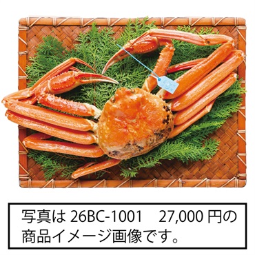 《能登応援》｢鹿渡島定置｣石川県産ボイルかに(夫婦セット〈加能がに1尾・香箱がに4尾〉)【冷蔵】※北海道・青森・四国・九州・沖縄・離島にはお届け出来ません。