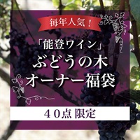 2026年福袋「能登ワイン」ぶどうの木 オーナー福袋【40点限定】【2026年1月下旬、順次ご案内を郵送】
