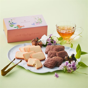 「アンテノール」カカオビスキュイ アソート(14粒入)※お届け日のご指定がない場合は【2/5～14のいずれか】にお届けいたします。