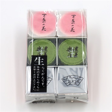 ｢落雁諸江屋｣生落雁詰め合わせ ６入(袋)【おまとめ便対象】