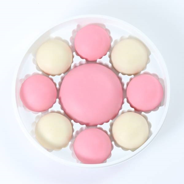 「御朱印」紅白御朱印 チョコレート饅頭【おまとめ便対象】