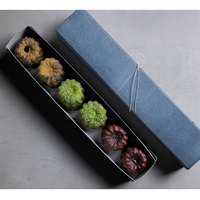 和栗白露 百万石百貨店オンラインショップ｜金沢エムザ