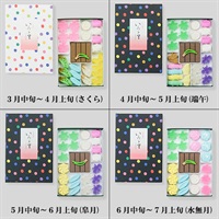 落雁諸江屋｣ いろど里(大箱) ※お届け時期により商品内容が異なり