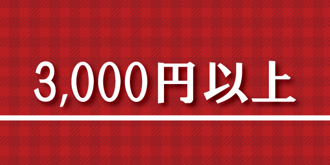 3,000円以上
